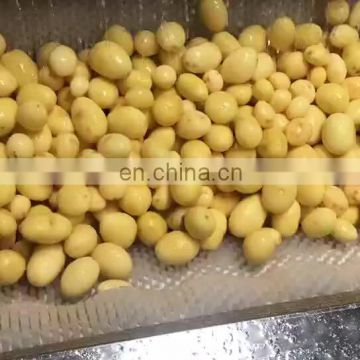 Vegetable brush cleaner/carrot skin removal machine/yam peeling machine for sale