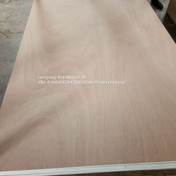 furniture grade poplar plywood 18mm okoume face/Bintangor face made in China