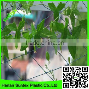 plant climbing net&garden plastic net&vegetable net cucumber net