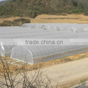 Hot sale film agricultural greenhouse