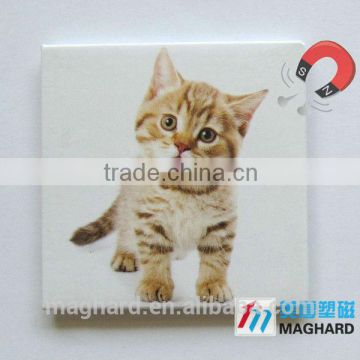 Factory directly selling Tin Fridge magnet