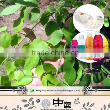 Made in China Moringa Powder Moringa Leaf Capsule