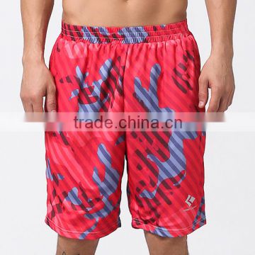 Guangzhou Wholesale Clothing Custom Casual Gym Shorts Sports Basketball Running Training Shorts for Male