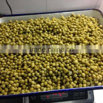 Hot selling Chinese canned cooked green peas in brine