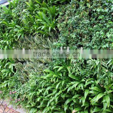 Factory price green plant wall artificial grass wall