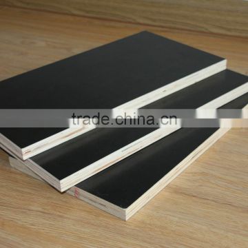 Film Faced Plywood construction cheap price