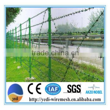 electro galvanized barbed wire for fence