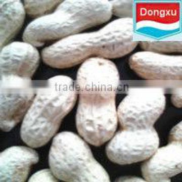 chinese high quality peanut in shell