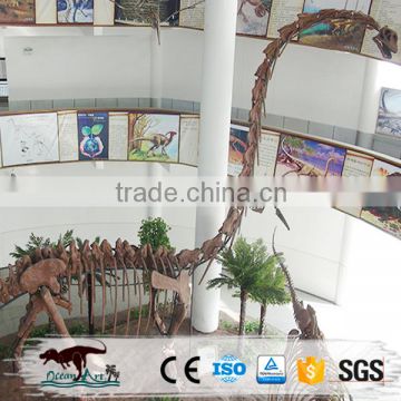 Simulation dinosaur skeleton for display