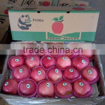 china wholesale fruit prices