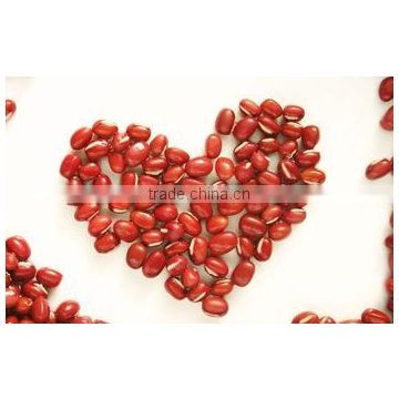 JSX Heilongjiang Origin Red Small Beans Excellent quality Vigna Angularis Extract red bean