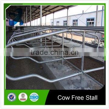 factory customize stainless steel cow free stall