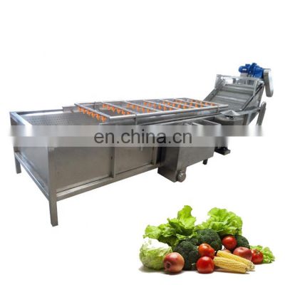 commercial fruit and vegetable washing machine/conveyor washing machine