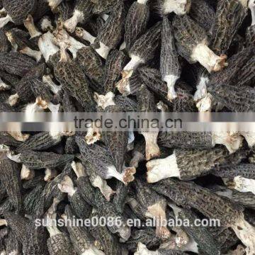 Wild Dried Morchella, Dried Morel Mushrooms For Sale