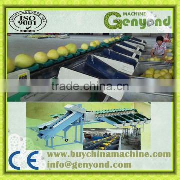 feeding double line fruits weight grading machine made in China