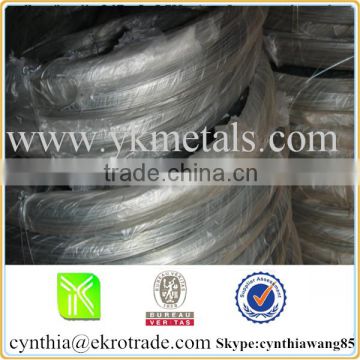 10kg electro galvanized wire export to Saudi Arabia