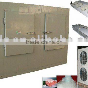 Insulated Refrigerated Ice Storage Room