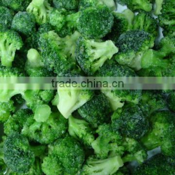 Grade A IQF Frozen Chinese Broccoli