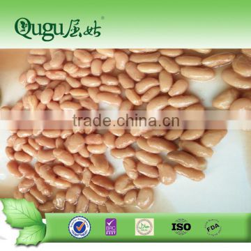 Healthy foods canned light speckled kidney beans to saudi arabia market