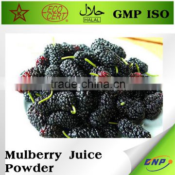 Mulberry Juice ISO bulk fruit juice powder