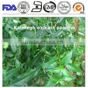 ISO 13 years factory Andrographis paniculata Kalmegh extract