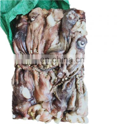 Fishing Bait Sea Frozen Illex Squid for Sale - China Squid, Frozen Squid