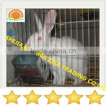 automatic water drinker system rabbit cage farming equipment