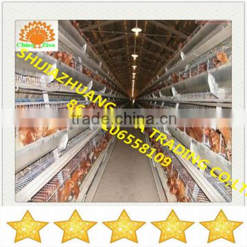 commercial chicken cages