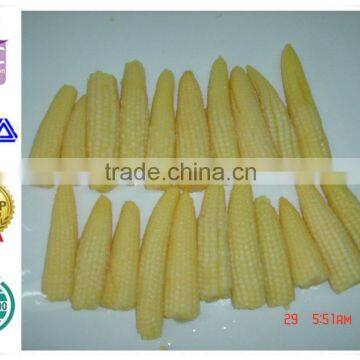 Top quality baby corn