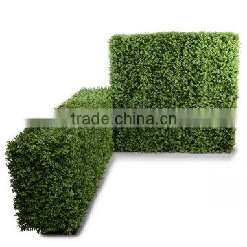 New PE material buxus artificial grass wall with uv resistance
