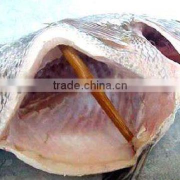 China Origin Best-seller Tilapia Gutted and Scaled wholeTilapia