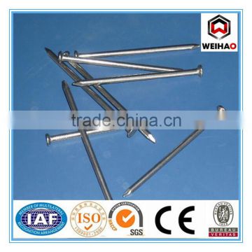 China manufacture Polished Common Nails/ common iron nail /common wire nail