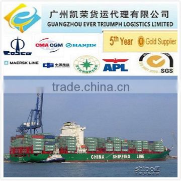 China shipping container (DDU DDP) from Guangzhou Shenzhen Shanghai to Norfolk
