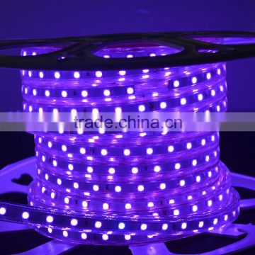Waterproof SMD 5050 high voltage 110V 220V 60 led per mtr wedding decoration rgb thin flexible led rope strip light outdoor use