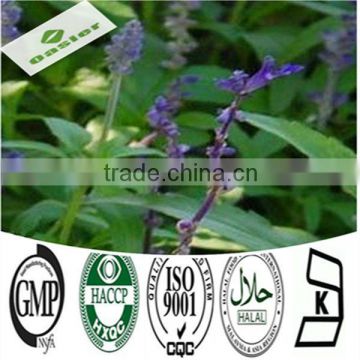 Organic Chia Seed Extract Powder