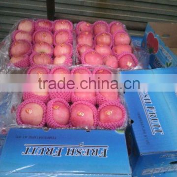 fuji apple root wholesale price apple harvester fuji apple in bangladesh
