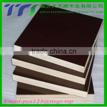 18mm poplar core film faced plywood at best price