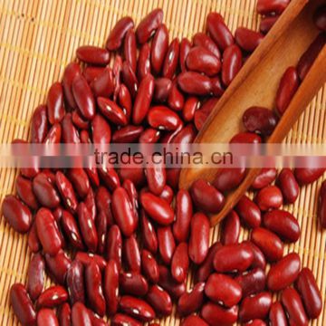 JSX new-crop red kidney bean cooking high quality pure red kidney bean