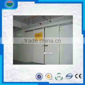 Hot new high grade cold room sliding door shower room