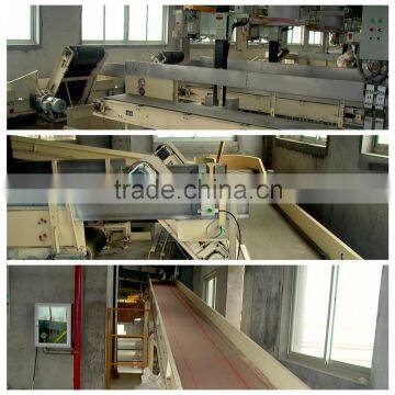 Semi crane stacker conveyor/industrial conveyor for flour/meal storage solution