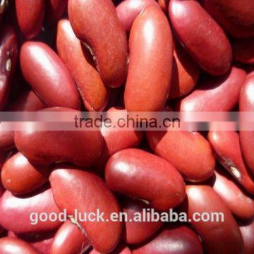 Chinese red kidney bean 2015