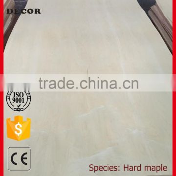 0.5mm Rotary Cut Natural Cananda Hard Maple Veneer