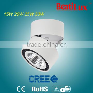 Classical design 15W 30W LED COB surface mounted down light adjustable&Rotatable CE ROHS TUV Zhongshan factory