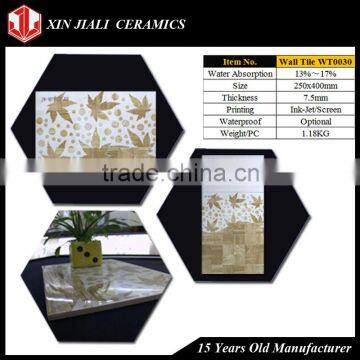 250x400MM WT0030 Ceramic Wall Tile