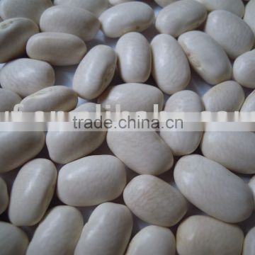 Good white Kidney beans/medium 2010