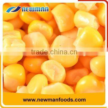 Canned sweet corn kernel in water / in brine non GMO 2840g