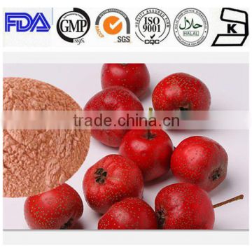 Top quality instant hawthorn fruit juice powder for sale