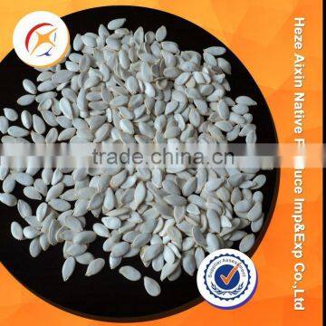 Bulk Chinese Pumpkin Kernels