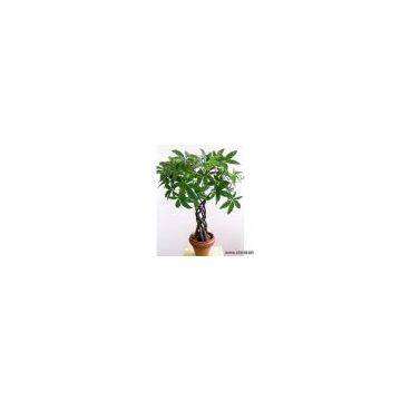 Sell Artificial Plant With Pot