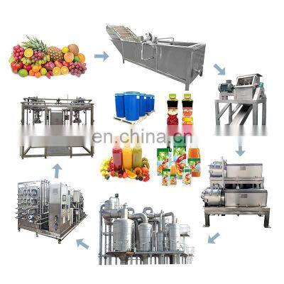 Fruit and vegetable passion complete fruit juice production line